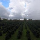 고원농장 이미지