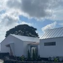 제주스테이 비움 | [제주 숙소] 표선 스테이비움 ➰ 감성 독채 숙소