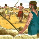 모우목장 이미지