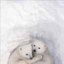 문화예술로 이미지