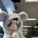 양일로2L 이미지