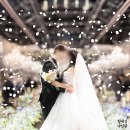 서호공원 | 화서 디에스컨벤션 본식스냅 후기 | 농민회관웨딩홀 | 서호공원결혼식장 | 화서역웨딩 | 수원본식스냅...