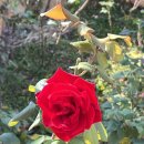 식사하세요 이미지