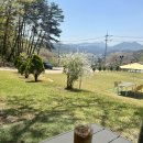 장터돼지국밥 이미지