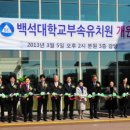 백석대학교부속유치원 이미지