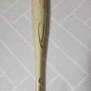 블랙배트 이미지