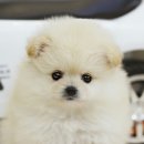 다