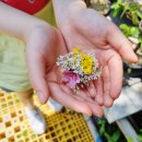 주하농장 이미지