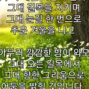 들꽃사랑 이미지