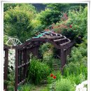 고운나라 이미지