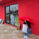 (주)지토 | 장마시작! 어디가지? 비오는날 제주동쪽여행 제주소품샵, 캐리커쳐 이색체험 가능한 <지토의숲> 후기