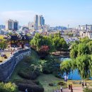 세븐일레븐 수원정조로점 | 정조의 꿈이 머무는 돌담위로 흐르는 시간! 수원화성