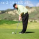 파크골프 이미지