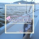 해운대 놀거리 커플 바다 부산요트투어G 낮시간 후기