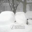 동부 2차 이미지