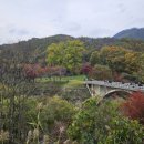 수곡용계로(길안면) 이미지