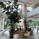 사기막골1공영주차장 이미지