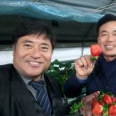 강소농장 이미지