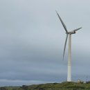 안전한가 이미지