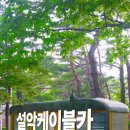 채널하나여행사