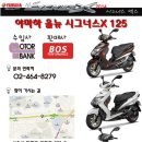 B.O.S 이미지