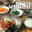 대저로 | 부산 강서구 현지인 추천 물회 맛집 낙양회센타 내돈내산후기