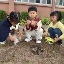 다목초병설유치원 이미지