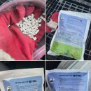 제형농장 | 안전한 주말농장을 위한 뱀퇴치제, 뱀쫓는약