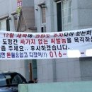 오*화 Daum카페