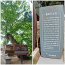 중고개길 이미지