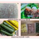 최인숙 농장 이미지