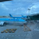 869 | 중국 다롄 가족여행 항공권 :: 인천 대련 대한항공 탑승 후기 (KE869, KE872)