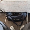 한산켄넬 | 제주도 강아지 비행기 탑승, 아시아나 티웨이 애견동반 비용