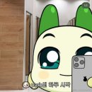 디클레어 스터디카페 | [카타르 항공] 몰타 발레타 오픈데이 워크인 CV Drop, 센텐스 슈팅, 파이널 후기 (절망편)