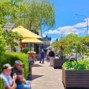 (주)블루핸드 | 아이와 해외여행 호주 블루마운틴 가볼만한 곳 로라마을