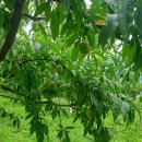 기북농장 이미지