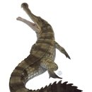 사르코수쿠스 이미지