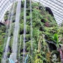 아담슈퍼 | [싱가포르여행] 필수코스! 가든스바이더베이 가는법,입장권,티켓,시간,슈퍼트리쇼 후기