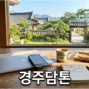 엠피컴퍼니 | 해피한자유숙박권 쟁점 비교와 손해 없는 이용 방법 가이드