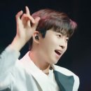 마이리틀콘서트 이미지