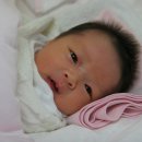 배꼽누리 이미지