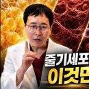 지방, 골수, 제대혈, 와튼젤리 줄기세포 뭐가 다를까? 이미지