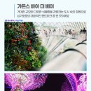 여행사 하나로드 이미지