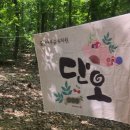 꿀참나무숲 유치원 이미지