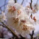 김해건설공업고등학교 이미지