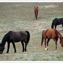 동산목장 이미지