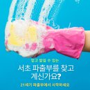 21세기파출부 이미지