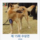 진도개영농조합 이미지