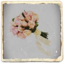 오픈콜라 이미지