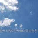 맑은누리아동발달센터 네이버블로그